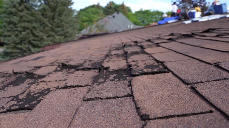 Best Roof Ventilation Installation  in Manhattan Beach, CA